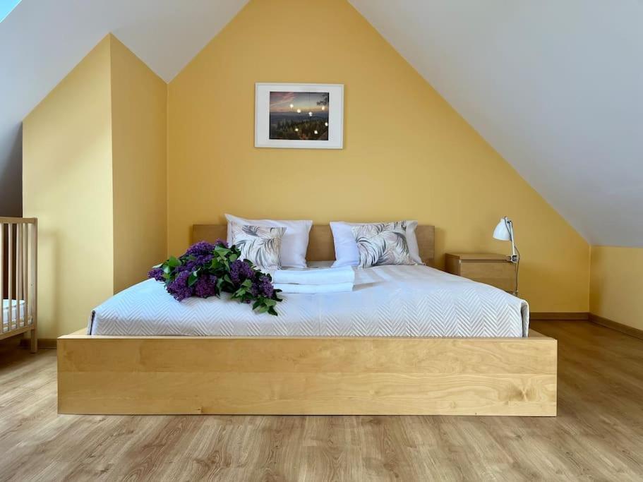 Apartament Hemingwaya Jelenia Gora Exterior photo